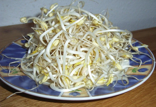 gia-do-1
