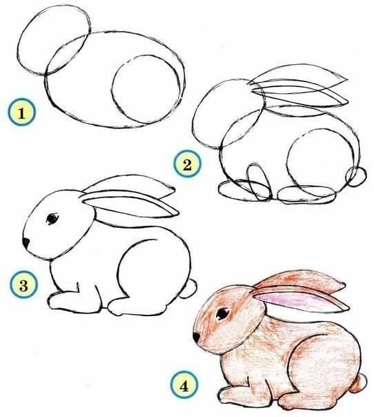 Hình ảnh Bản Vẽ đơn Giản Của Một Con Thỏ Với Bản Phác Thảo Phác Thảo Tai  Vectơ PNG  Vẽ Hoạt Hình Con Thỏ Phác Thảo Phim Hoạt Hình Thỏ Tranh