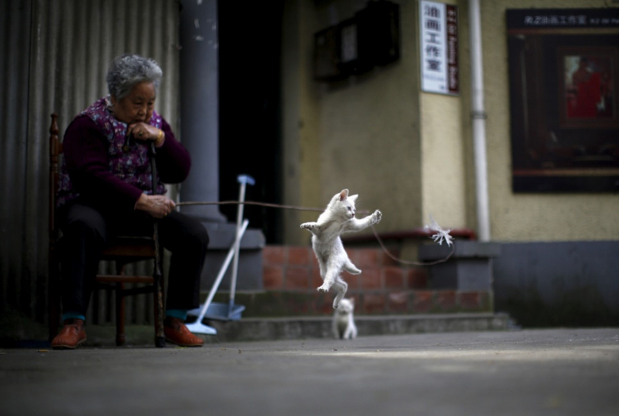 Bà lão chơi đùa với mèo con trước hiên nhà ở thành phố Thượng Hải, Trung Quốc. Ảnh: Carlos Barria/Reuters.