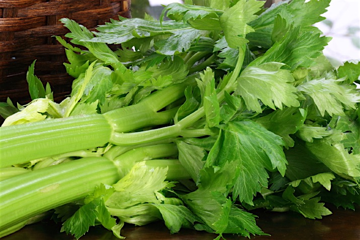 Celery_0