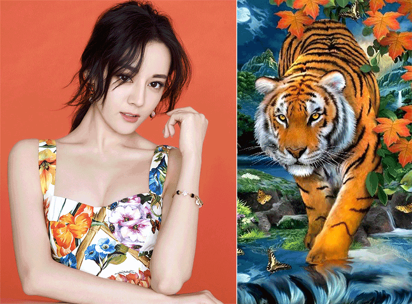 1811_3-con-giap-nu-vuong-phu-giup-chong-mua-nha-sam-xe-nam-2018-anh-2-0830