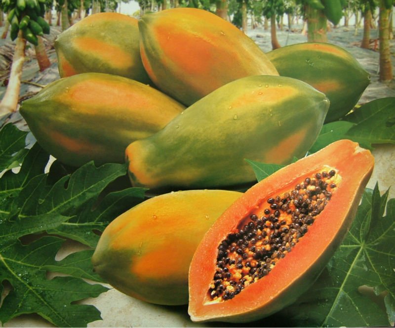 Fresh_Papaya_from_Taiwan