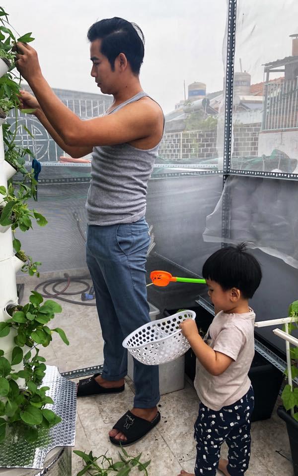 Đặc biệt, trên ban công, vợ chồng Thanh Bình trồng rất nhiều cây xanh, rau củ... để làm phong phú bữa ăn gia đình và thỏa lòng bà xã.
