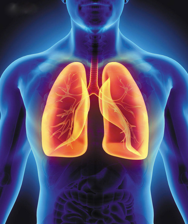 p4lungsml0418gi577938810-1535785259913825322121-15357852737661567336680