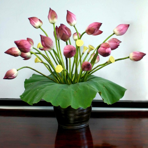 cac_loai_hoa_ngay_tet_va_y_nghia_phong_thuy_cua_chung_2