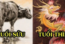 Tử vi thứ 2 ngày 10/8/2020 của 12 con giáp: Sửu có quý nhân giúp, Thìn may mắn