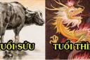 Tử vi tuần mới từ ngày 19/10 đến 25/10/2020 của 12 con giáp: Sửu gặp may mắn, Thìn tài lộc gặp nhiều biến động