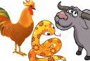 Tử vi tuần mới từ ngày 21/9/2020-27/9/2020 của 12 con giáp: Dậu may mắn liên tiếp, Tý chú ý sức khỏe