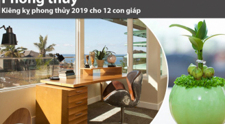 Kiêng kỵ phong thủy năm 2019 cho 12 con giáp: Nên làm gì để đuổi hết vận xui, rước tài lộc về nhà?
