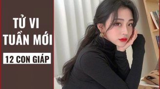 Xem tử vi tuần mới (từ 11/11- 17/11/2019) của 12 con giáp: Hợi có chuyện chẳng lành, Mùi có Cát vận che chở