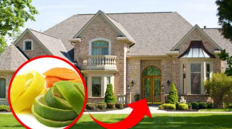 Đặt 1 miếng vỏ cam trước cửa nhà và chờ đến tối, bạn sẽ bất ngờ khi thấy điều kì diệu xảy ra