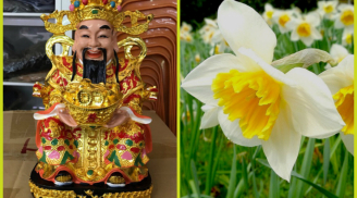 Những loại hoa 'đánh thức' thần Tài, gọi lộc lá về ào ạt, cuối năm cả nhà tha hồ đếm tiền sái tay
