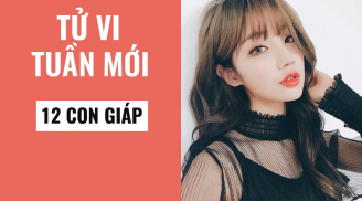 Tử vi tuần mới của 12 con giáp (từ 16/3- 22/3/2020): Tý đề phòng sao Âm Sát, Dần có điềm may tài lộc
