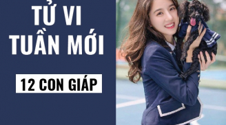 Tử vi tuần mới của 12 con giáp (từ ngày 23/3 - 29/3/2020): Tý được Thái Âm cát tinh trợ vận
