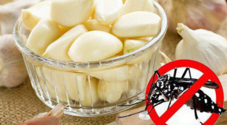 Những cách đuổi muỗi an toàn và hiệu quả nhất, số 1 vô cùng dễ làm