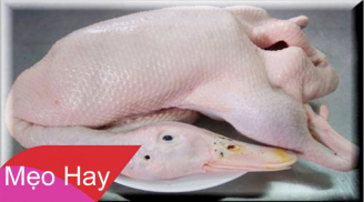 Mẹo vặt lông vịt vừa nhanh vừa sạch, đảm bảo không sót 1 cọng lông măng nào lại hết sạch mùi hôi