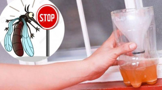 Mẹo khiến muỗi chết cả đàn chỉ với một lon bia và bột giặt, không cần hóa chất độc hại