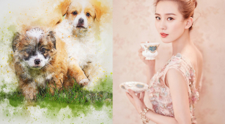 Trúng sao Thái Bạch 'cuốn sạch cửa nhà', 3 con giáp đen đủi trăm đường, vận hạn liên tiếp trong tháng 4/2020