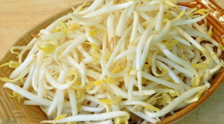 Những lợi ích quý giá của giá đỗ với sức khỏe con người