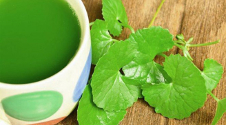 Những tác dụng quý của cây rau má và lưu ý khi ăn