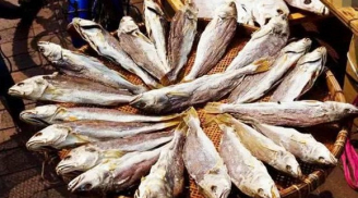 Cho trẻ ăn cá rất tốt nhưng có 3 loại cá nằm trong 'danh sách đen', cần loại bỏ ngay