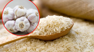 Cho một tép tỏi vào thùng gạo đảm bảo mối mọt, ẩm mốc không bao giờ xuất hiện