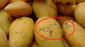 Quả xoài có đốm đen to hay nhỏ thì ăn được? Câu trả lời khiến bạn bất ngờ