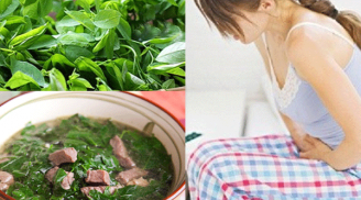 Bà bầu ăn rau ngót có tốt không? Đây là những điều ai cũng cần biết