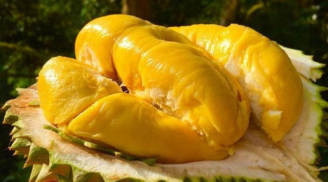 Những điều cần đặc biệt chú ý khi ăn sầu riêng kẻo gây hại khó lường
