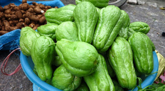 Những lợi ích thần kì của quả su su với sức khỏe con người