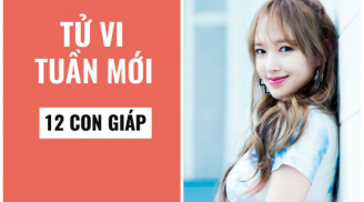 Tử vi tuần mới từ ngày 29/6/2020-5/7/2020 của 12 con giáp: Mão tình duyên khởi sắc; Thân tài lộc sa sút