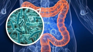 Những loại nước giúp thải độc ruột già, thanh lọc gan thận