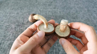 Người bán hàng không bao giờ nói: Chọn nấm hương tươi nên lấy cái to hay cái nhỏ?