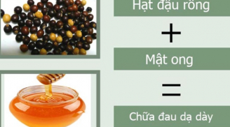 Loại đậu mọc hoang nhiều người vứt bỏ lại là vị thuốc 'thần kỳ' chữa đau dạ dày