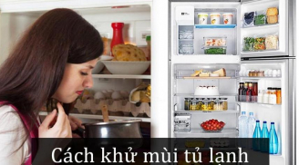 Cho một nhúm trà vào tủ lạnh, mùi hôi đến mấy cũng bay biến