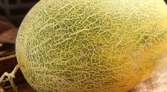 Người bán hàng không bao giờ nói cho bạn: Mua dưa lưới nhất định phải sờ vào chỗ này