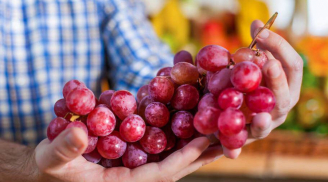 Chọn mua nho nên nếm quả trên cùng hay ở giữa là đúng nhất? Đây là cách chọn chuẩn nhất cho bạn