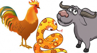 Tử vi tuần mới từ ngày 7-13/9/2020 của 12 con giáp: Tý cẩn trọng sức khỏe, Dậu gặp may liên tiếp