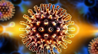 Virus SARS- CoV-2 có khả năng tấn công não bộ của bệnh nhân