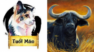 Tử vi thứ Năm ngày 17/9/2020 của 12 con giáp: Sửu tiền bạc đầy túi, Mùi cẩn trọng sức khỏe