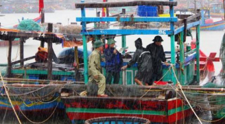 Bão số 5 đổ bộ vào các tỉnh miền Trung: Đà Nẵng, Quảng Nam sẵn sàng triển khai phương án phòng chống