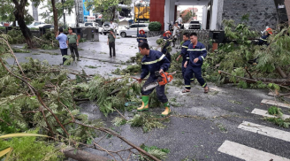 Một chuyên viên phòng GD&ĐT bị cây đè tử vong trong cơn bão số 5