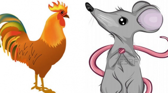 Tử vi thứ Sáu ngày 25/9/2020 của 12 con giáp: Tý gặp rắc rối, Dậu chú ý sức khỏe
