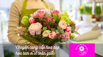 Ngắm hơn 300 mẫu hoa sinh nhật đẹp tại Thế Giới Hoa