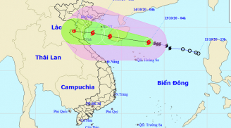 Bão số 7 đổ bộ vào vịnh Bắc Bộ rồi suy yếu thành áp thấp, gây mưa to và dông cục bộ
