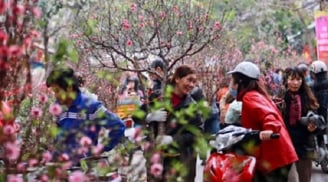 Một đợt không khí lạnh mạnh sắp tăng cường vào cận Tết Nguyên đán, trời rét đậm rét hại