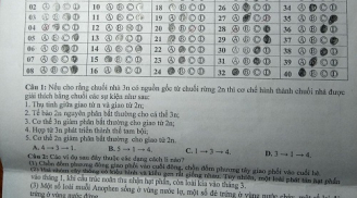Cô giáo chấm điểm 9 với lời phê 'hết hồn' trên bài kiểm tra của học sinh: Đáng yêu vô cùng