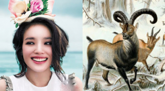 3 con giáp nữ này luôn được Thần Phật phù trợ, lại sống lương thiện nên rất có hậu, hồng phúc tề thiên