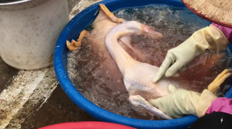 Vặt lông ngan, lông vịt cứ cho một thứ này vào, đản bảo sạch hết lông măng lại khử hết mùi hôi
