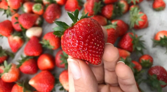 Tưởng cam giàu vitamin C nhưng vẫn còn thua xa 10 thực phẩm này